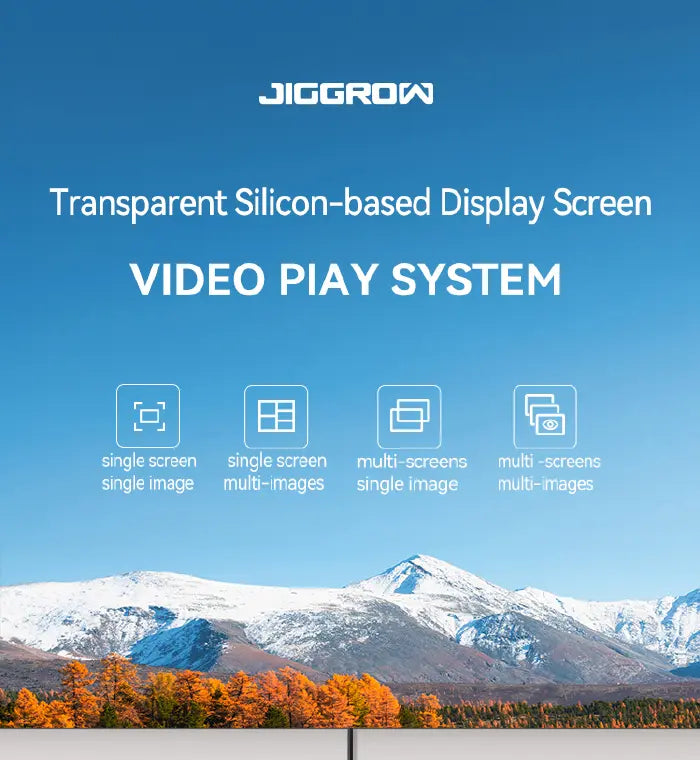 Playbox Video Control System brochure cover